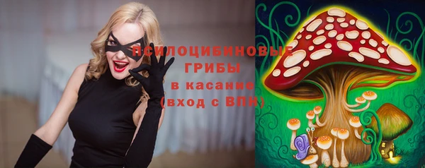 МДМА Новозыбков