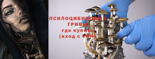 МДМА Новозыбков
