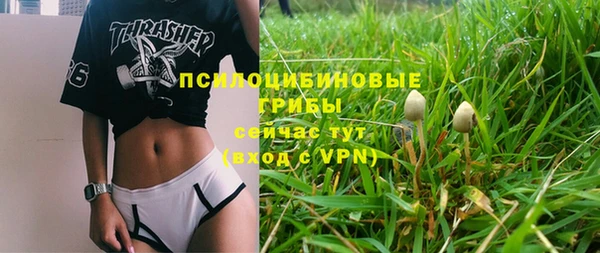 МДМА Новозыбков