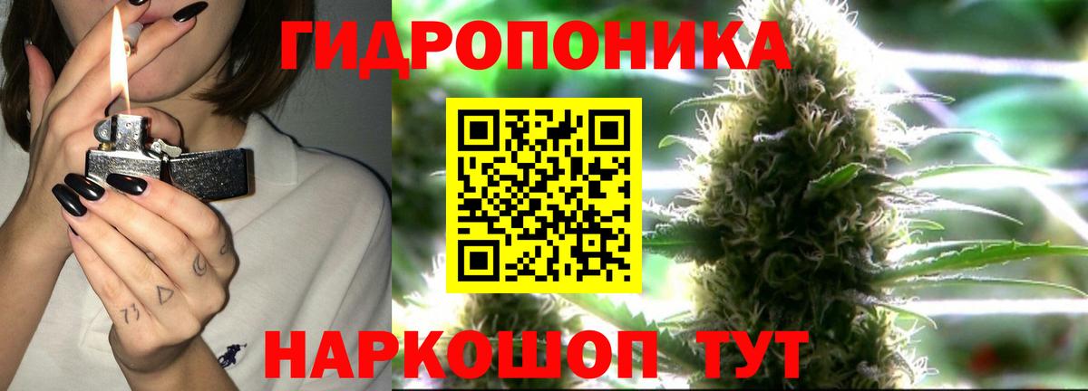 МАРИХУАНА VHQ  Каннабис семена  Петропавловск-Камчатский  Вход с VPN  Канабис SATIVA & INDICA 
